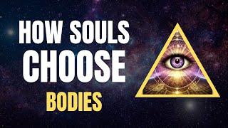 How Souls Choose Bodies: Bashar on Miscarriages and Viable Births | Channeled by Darryl Anka