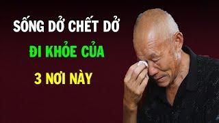 Dù giàu có đến mức nào cũng đừng KHOE CỦA tại những nơi này, họa đến ngay lập tức