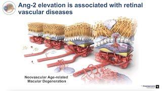 3. The ANG/TIE System - Role in Vascular Stabilization and Pathology