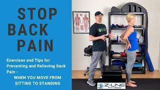 Seated and Standing Exercises for Lower Back Pain