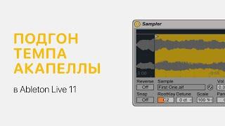 Как подогнать темп акапеллы в Ableton Live 11 [Ableton Pro Help]