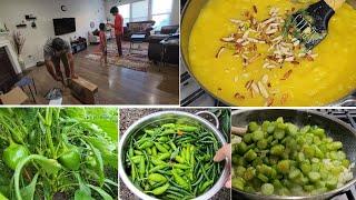 Full day routine Gardening, cooking, canning chilli | Indian mom in USA