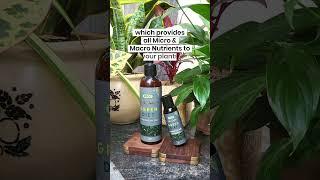 Organic Plant Growth Booster | Green Diet | IFFCO Urban Gardens