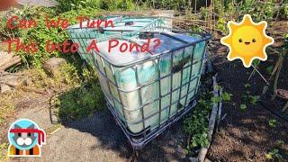 Can I build a Pond from an IBC??