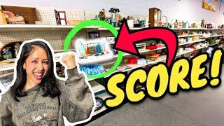 Thrift to Make Money with Full-Time Reseller! Thrifting Everyday Low Cost Items to Flip for Profit