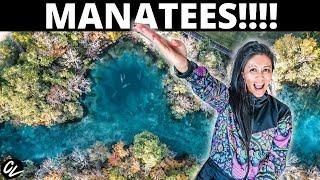 Swimming with MANATEES in Crystal River Florida!