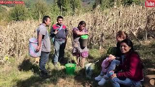 ️While we were working in the field, they came to leave us some chilacayota water, a delight ...