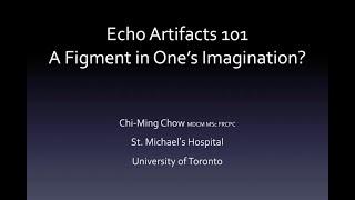 Echo Artifacts 101: A Figment of One's Imagination?