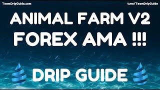 Drip Guide Live - AMA with Forex Shark!!!  Piggy Bank V2