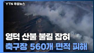 영덕 산불 3일 만에 불길 잡혀...축구장 560개 면적 피해 / YTN