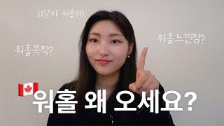 한달차 워홀러의 느낀점& 이유ㅣ토론토vs밴쿠버ㅣ 한국과 캐나다의 차이점 ㅣ나만 몰랐던 밴쿠버 기초정보 ㅣCanada Working Holiday Talking Diary