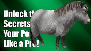 Unlock the Secrets: Tame Your Stubborn Shetland Pony Like a Pro!