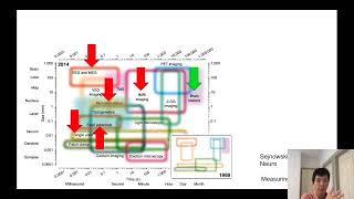 Week 3 the neural basis of consciousness: overview of important clinical cases