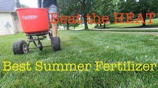 How to get your yard ready for summer | summer lawn tips