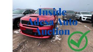 Car Dealer Auction Walkthrough | Inside ADESA Auto Auction Deals