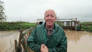 Vegetable Garden Flood Again.