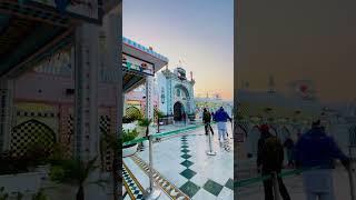 nakodar Darbar Baba Murad Shah ji #nakodar #sailaddishahji #jaipeerandi #ytshorts #shorts