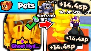 I SPEED RUN Arm Wrestle Simulator With RAREST MAXED OUT HYDRA KNIGHT PET..