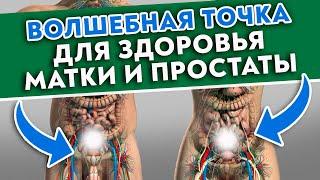 Ключ от МУЖСКОГО и ЖЕНСКОГО здоровья! Точка кишечника вылечит мочеполовую систему!