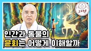 옛날 스님들의 일화에 나오는 불교 속 동물이야기