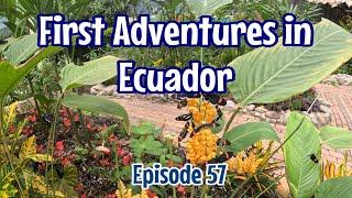 Episode 57 First Adventures in Ecuador | Tulcan Topiaries | Otavalo | Cuicocha Lake | Mindo Valley