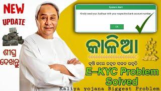 Kalia Yojana || Kindly seed Your Aadhar with your respective Bank account number–95-Inactive Aadhaar