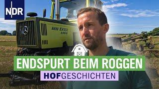 Der letzte Roggen muss vom Acker | Hofgeschichten: Leben auf dem Land | NDR (246)