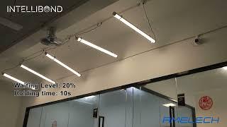 Amelech's Intellibond Lighting- Triproof lights