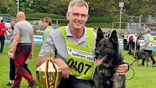 SV BSP 2024  Bundessieger Peter Rohde mit Chapa vom Drachenwolf - kompletter Schutzdienst 