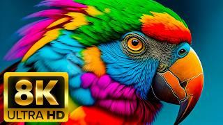 THE AMAZING ANIMAL CLAN - 8K (60FPS) ULTRA HD - With Nature Sounds (Colorfully Dynamic)