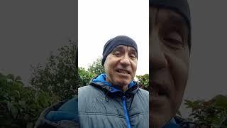 Причины кратковременной популярности | психолог Рамиль Гарифуллин