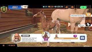 [The Correct Way To Breed Traits] Breeding 1600m Champions Rival Stars Horse Racing Mobile