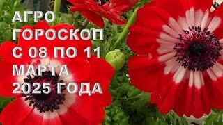 Самые Лучшие Дни для Посевов в Агрогороскопе с 08 по 11 Марта 2025 года!