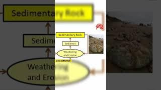 Rocks tell stories. Rock Types. #trending #trendingshorts #trendingvideo #shorts #viral #viralvideo