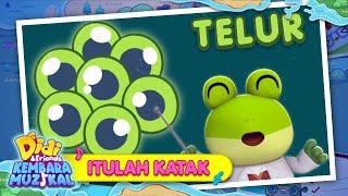 Itulah Katak I Lagu Terbaharu Musim Ketujuh I Didi & Friends Kembara Muzikal