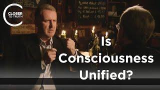 Barry Smith - Is Consciousness Unified?