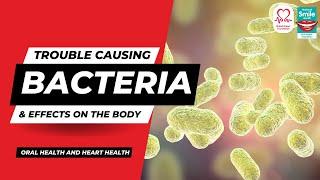 The Mouth Bacteria That Can Cause Heart Disease