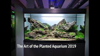 The Art of the Planted Aquarium 2019 - Aquascape Contest