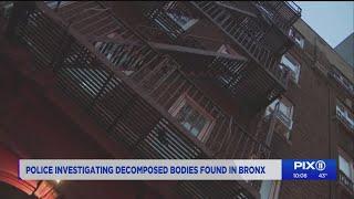 NYPD investigating decomposed bodies found in Bronx apartment