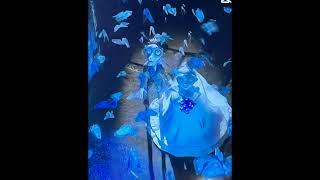 #edit #corpsebride