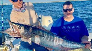 20 Wahoo In 2 Minutes! (Summer 2019)