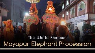 TOVP Presents: The World Famous Mayapur Elephant Procession