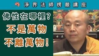 佛性在哪裡？ 不是萬物 不離萬物！ ~ 淨界法師《楞嚴經》講座