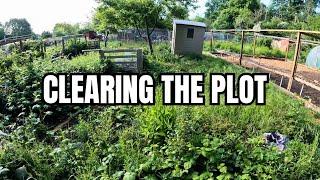 Day One On My First Allotment | Allotment For Beginners | Allotment Transformation