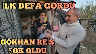 Gökhan Reis Şok Oldu, En Eski Oyun Kuşu