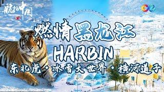 【ENG SUB】Aerial ChinaⅠ-Why You Must Visit Harbin, China in Winter