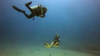 Dive Sandals Resorts Montego Bay