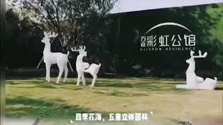 西区最美楼盘 方直·彩虹公馆