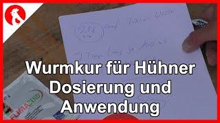 112 Wurmkur für Hühner - einfache Anwendung -  Jensman and the Huhns