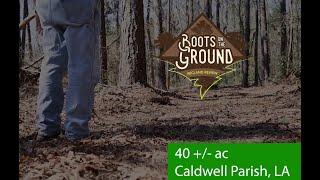 Land Review - 40 ac Timberland for Rural Home Site for Sale in Caldwell Parish LA